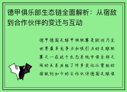 德甲俱乐部生态链全面解析：从宿敌到合作伙伴的变迁与互动